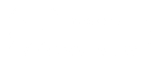 Logo Transportadora Nova Taubaté